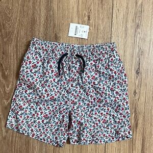 J Crew Crewcuts Swim Trunks